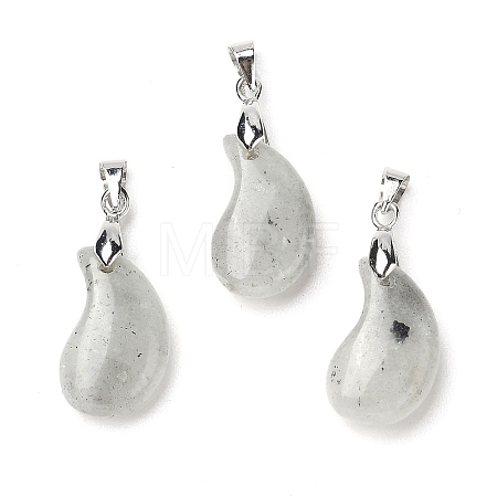 Natural Labradorite Pendants G-NH0025-14P-06-1