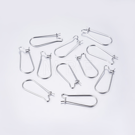 Tarnish Resistant 304 Stainless Steel Hoop Earrings STAS-L198-15A-P-1
