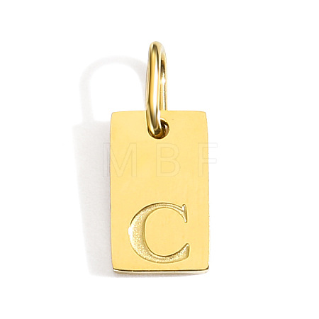304 Stainless Steel Pendants STAS-Z143-01G-C-1
