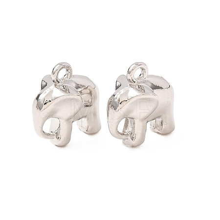 Alloy Charms AL-CBA3036-05P-1