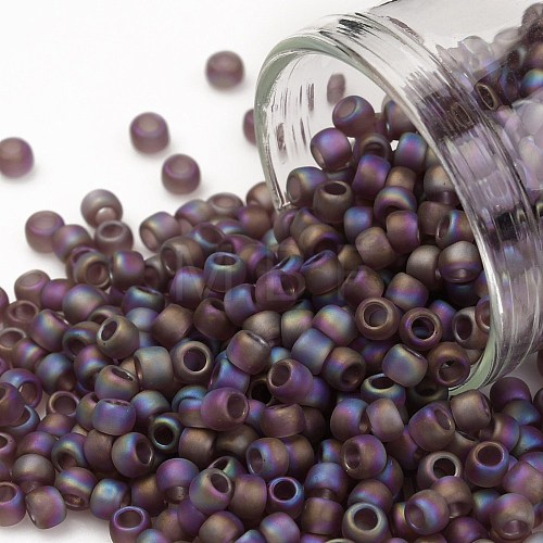 TOHO Round Seed Beads SEED-JPTR08-0166BF-1