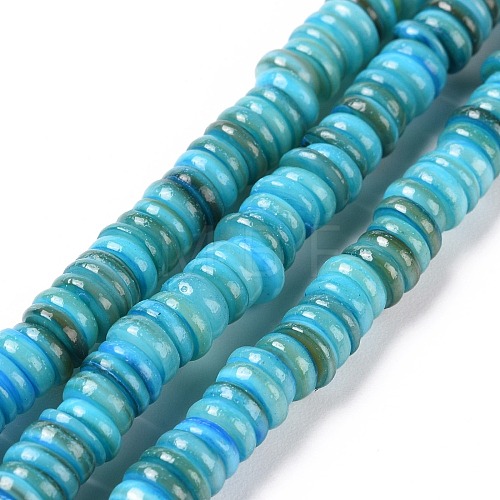 Shell Beads Strands SSHEL-E571-49J-1