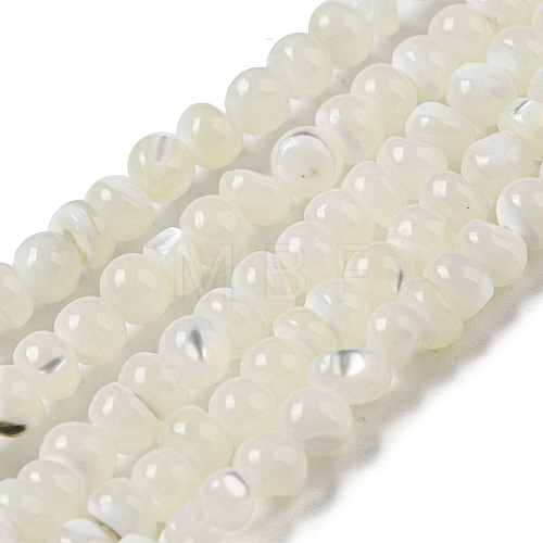 Natural Trochus Shell Beads Strands SSHEL-H072-13B-1