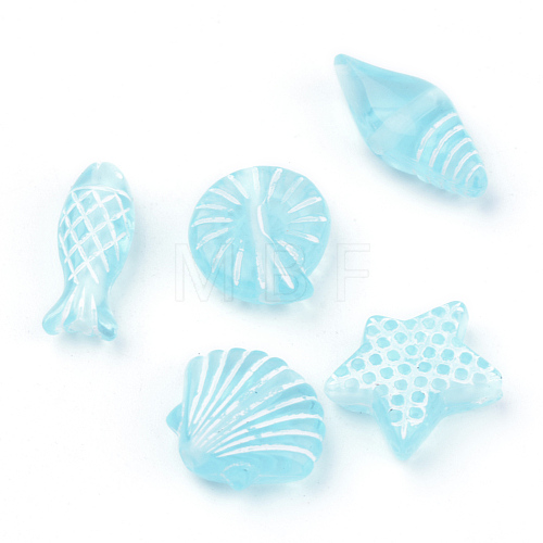 Craft Style Transparent Acrylic Charms TACR-S131-06-1