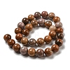 Natural Petrified Wood Round Bead Strands G-F266-08-8mm-4