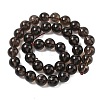 Natural Smoky Quartz Beads Strands G-C265-A01-10mm-01-3