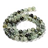 Natural Prehnite Beads Strands LS-G-P322-48-6mm-01-2