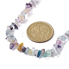 Natural Fluorite Chip Beaded Necklace NJEW-JN04615-11-3