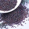 MIYUKI Round Rocailles Beads X-SEED-G007-RR1013-1