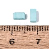 2-Hole Glass Seed Beads SEED-S023-31B-05-3