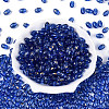 Oval Glass Seed Beads SEED-T009-02I-1
