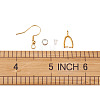 304 Stainless Steel Earring Hooks STAS-TA0004-59-9