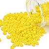 TOHO 6/0 Round Beads X-SEED-TR06-0042F-1