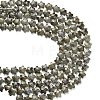 Natural Gray Labradorite Beads Strands G-L657-A02-01-5