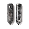 Natural Larvikite Pointed Pendants G-D460-01A-2