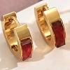 Rectangle Stainless Steel Hoop Earrings DP2427-4-1