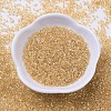 MIYUKI Delica Beads SEED-X0054-DB0099-2