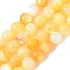 Natural Yellow Shell Beads Strands SH-CBACA76-16B-1