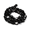 Natural Black Agate(Dyed and Heated) Beads Strands G-P568-C16-01-3