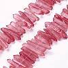 Natural Quartz Crystal Points Beads Strands G-K181-B09-1