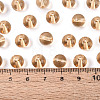 FGB Transparent Glass Seed Beads SEED-N013-01C-05-5