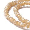 Natural Trochid Shell/Trochus Shell Beads Strands SSHEL-O001-24B-01-2