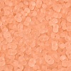 FGB Frosted Transparent Glass Seed Beads SEED-N013-06A-04-3