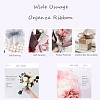 Organza Ribbon RS6mmY092-7