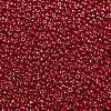 MIYUKI Round Rocailles Beads SEED-G008-RR0426-3