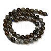 Natural Labradorite Beads Strands G-I253-01-8mm-3