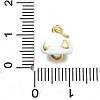 Brass Enamel Charms KK-K400-29G-01-3