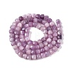 Natural Lepidolite/Purple Mica Stone Beads Strands G-N342-139-2