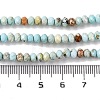 Natural Howlite Beads Strands X-G-H025-03C-09-5