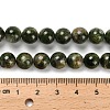 Natural Diopside Beads Strands G-R006-A01-02-5