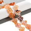 Natural Agate Beads Strands G-H024-C01-01-2