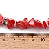 Natural Trochid Shell/Trochus Shell Beads Strands SHEL-B003-02I-4