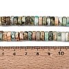 Natural Chrysocolla and Lapis Lazuli Beads Strands G-N367-03A-09-5