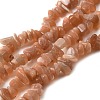 Natural Sunstone Chip Bead Strands G-M205-67-1