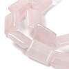 Natural Rose Quartz Beads Strands G-T047-B15-01-4