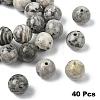 40Pcs Natural Map Stone/Picasso Stone/Picasso Jasper Beads G-YW0002-13B-1