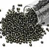 TOHO 8/0 Round Beads X-SEED-TR08-0029C-1