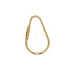 Brass Screw Carabiner Lock Charms KK-ZX025-66C-1