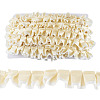 10Yards Polyester Lace Ribbon OCOR-TA0004-26A-1