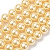 Electroplated Shell Pearl Beads Strands BSHE-G041-10mm-01-1