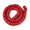 Natural Freshwater Shell Beads Strands SHEL-N037-03A-04-2