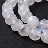 Natural Rainbow Moonstone Beads Strands G-I249-B04-05-4