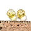 Transparent Glass Beads GLAA-D025-03J-3