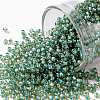 TOHO Round Seed Beads X-SEED-TR11-0308-1