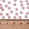FGB Frosted Transparent Glass Seed Beads SEED-N013-04A-06-4