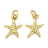 Brass Pendants KK-D218-10G-02-1